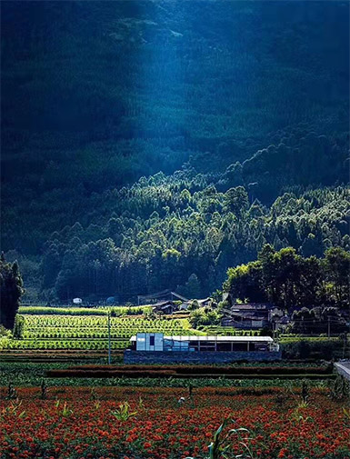 生態(tài)產(chǎn)區(qū)